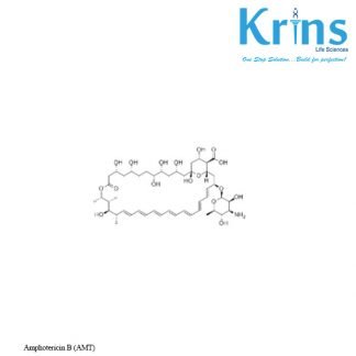 amphotericin b (amt)