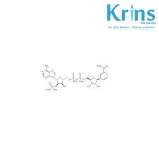 β nicotinamide adenine dinucleotide phosphate reduced tetrasodium salt (β nadph) extrapure, 98%